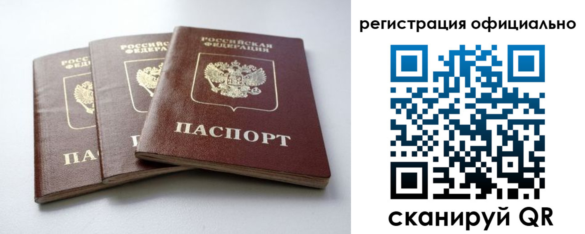 прописка паспорт в Черняховске